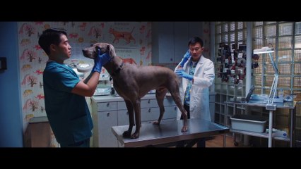 Second Act - Maya Speaks Mandarin (2018) - Jennifer Lopez