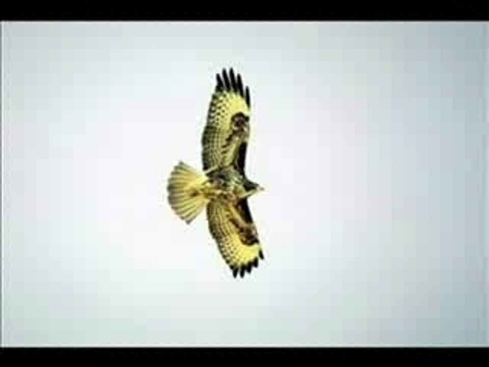 Buse variable