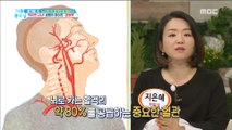 [HEALTHY] The pipe of life, the carotid artery, why?,기분 좋은 날20181219