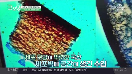 국산 고추를 지키기 위한 특급 작전!