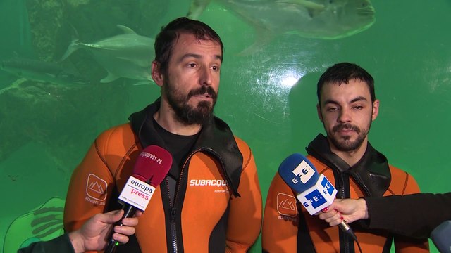 El Zoo Aquarium instala su tradicional Belén de tiburones