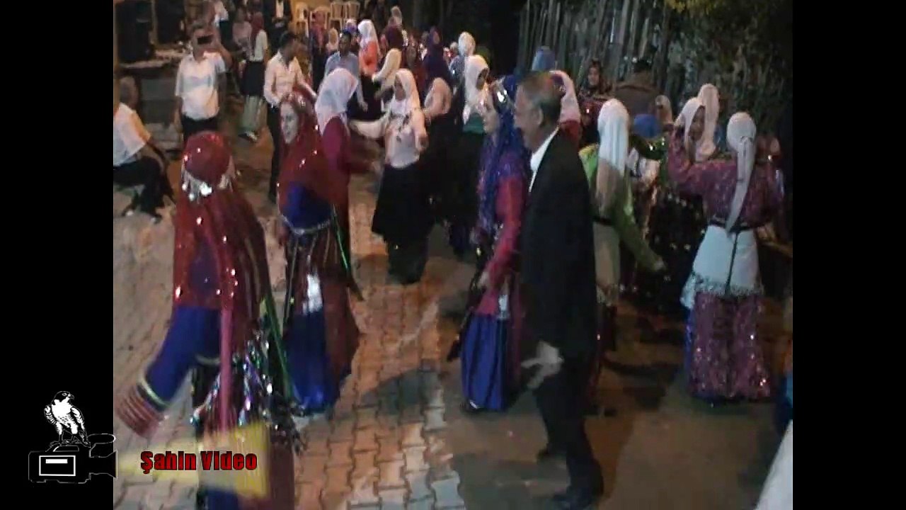 ORTACA UZUM DAİLMATİON