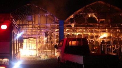 인천 강화도 토마토 농장 화재...1억4천만 원 피해 / YTN