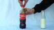 Coca Cola Milk Experiment - Cool Science Experiments with Coca Cola by Home Science (1)