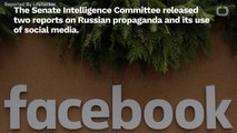 Facebook Faces Boycott After Release Of Senate Intelligence Committee Reports