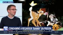 Un braconnier condamné à regarder Bambi en prison après avoir tué des centaines de cerfs