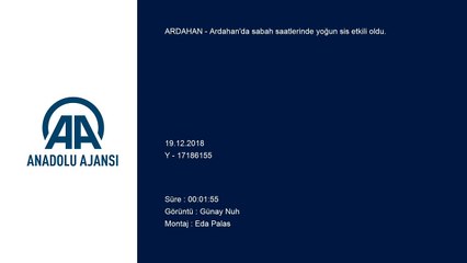 Sis ve soğuk hava - ARDAHAN
