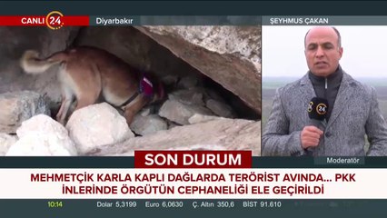 PKK'ya yönelik operasyonlar devam ediyor