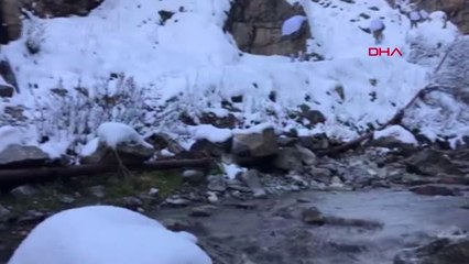 Van'da 4 Sığınakta PKK Silah ve Mühimmatı Ele Geçirildi