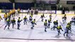 Sports : Hockey sur Glace, HGD vs Strasbourg - 19 Décembre 2018