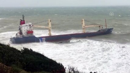 Şile'de kargo gemisi karaya oturdu (3) - İSTANBUL