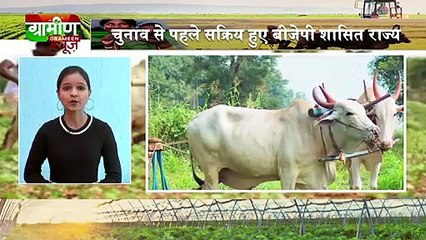 Kisan Bulletin 19 Dec 2018 | Grameen News | Kisan Samachar