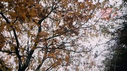 Jama 45 epizoda/ 12. epizoda 2. sezone Part 2/3