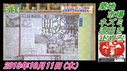 9-4辛坊さん、築地市場、ネズミ流出を止めろ。菜々子の独り言　2018年10月11日(木）
