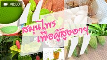 สมุนไพรเพื่อผู้สูงอายุ