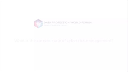 What is the current state of cyber risk management