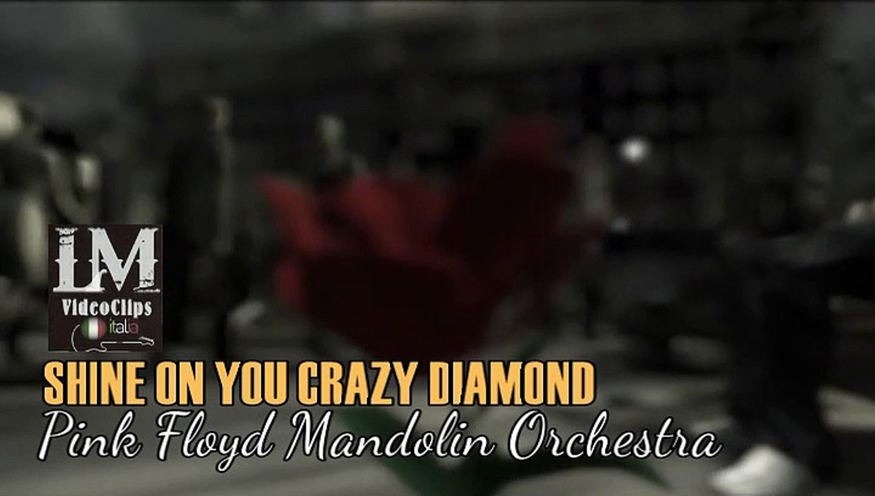 SHINE ON YOU CRAZY DIAMOND   (Pink Floyd Mandolin Orchestra)