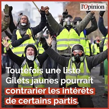 Quand les extrêmes se disputent les Gilets jaunes en vue des européennes
