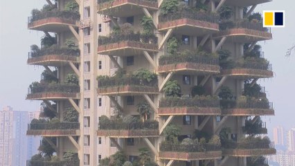 Vertical forests spring up in China