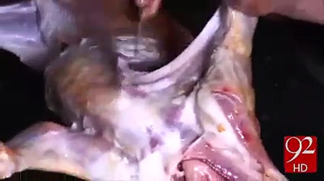 Kadi kabab n