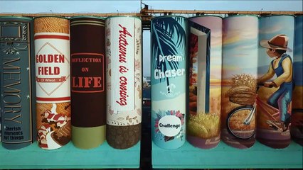 صوامع حبوب في كوريا الجنوبية تستحيل أكبر جدارية في العالم