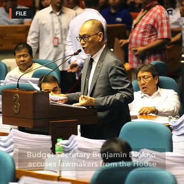 Diokno: Lawmakers eyeing road users' tax for campaign