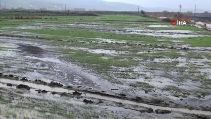 Sağanak Yağmur Ekili Alanları Vurdu