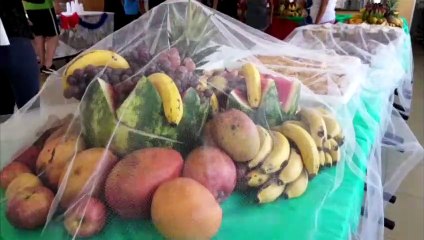 Provopar: almoço de Natal é oferecido às famílias do Bairro Interlagos