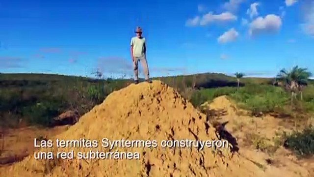 Carlos Malpite presenta la ciudad subterránea creada por las termitas