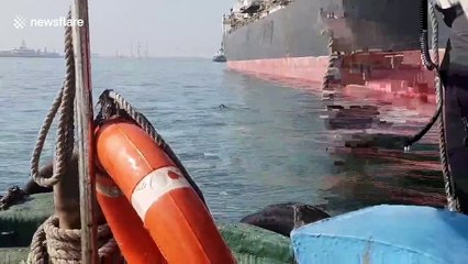 Swimming dog leads Taiwanese coastguards on one-hour long chase