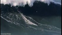 British Surfer Breaks World Record For Riding Biggest Wave With 100ft