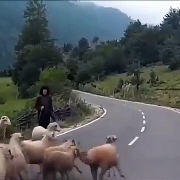 Bad...