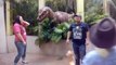 Cette fille a peur d'un dinosaure et sa mère veut la convaincre sa fille de faire une photo de famille avec un vélociraptor !