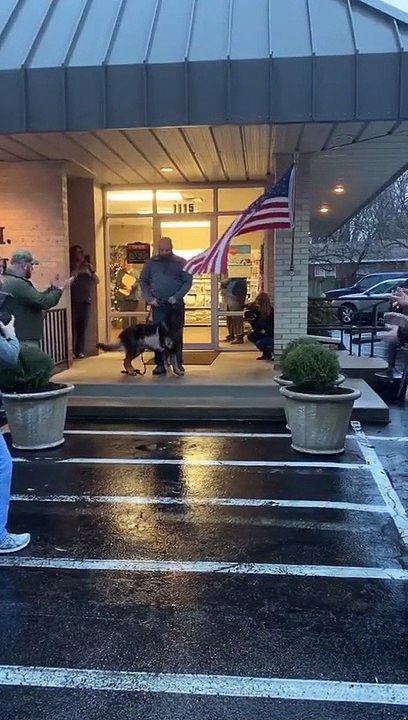 La joie émouvante de ce chien suite à son rétablissement d'avoir reçu 4 balles dans le corps