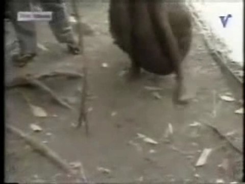 l'homme qui a les plus grosse couilles du monde