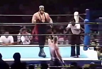 Big Van Vader vs. Tony Halme