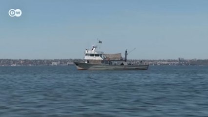 Украина хочет создать "москитный флот" в Азовском море (20.12.2018)