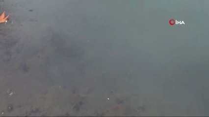 Ceyhan Nehri'nin Kaynağı Yeniden Hayat Buldu