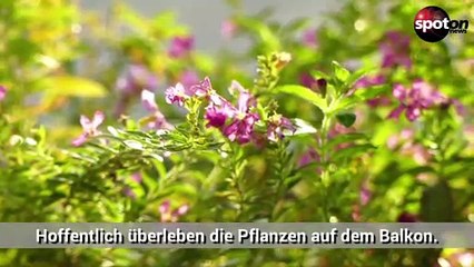 So startest du deinen Urlaub garantiert stressfrei