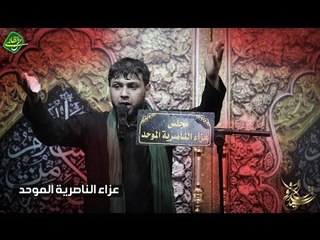 شيب الأخو ll سيد فاقد الموسوي ll كلمات أحمد المشرفاوي ll عزاء الناصريه الموحد ll  محرم الحرام
