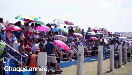 Quelle place occupe le cheval dans le monde ?