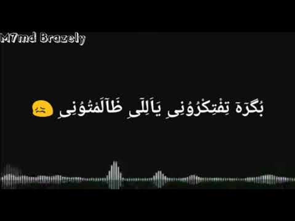 حالة واتس انا وانتم فريق الاحلام الدخلاوية