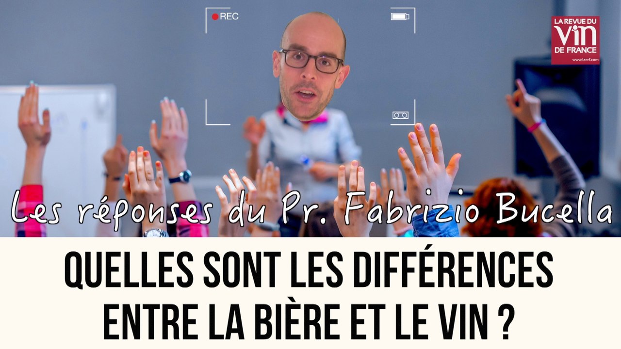 Quelles différences entre la bière et le vin ?