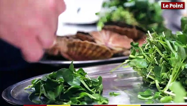 Christine and the Chefs #1 - Coquilles Saint-Jacques, topinambours et émulsion de cresson