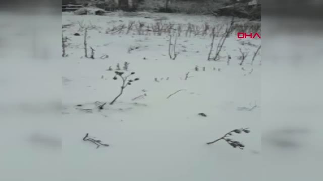 Manisa- Kırkağaç'ta Kar Yağışı Etkili Oldu