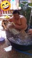 Ce chien kiffe son bain version Spa et Massage !
