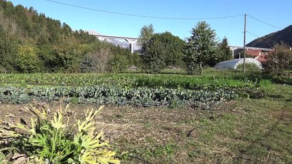 Muret 1 CONNAITRE LE SOL