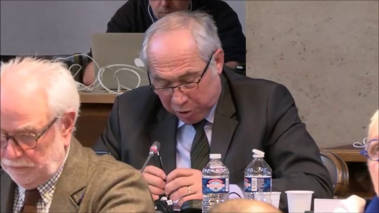 Pierre POILLOT. MuséoParc Alésia. Session du 17 décembre 2018