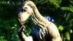 JURASSIC WORLD EVOLUTION Dinosaure du Crétacé Pack Bande Annonce