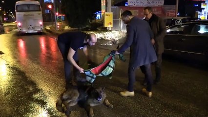 Yaralı köpek için montunu sedye yaptı - EDİRNE